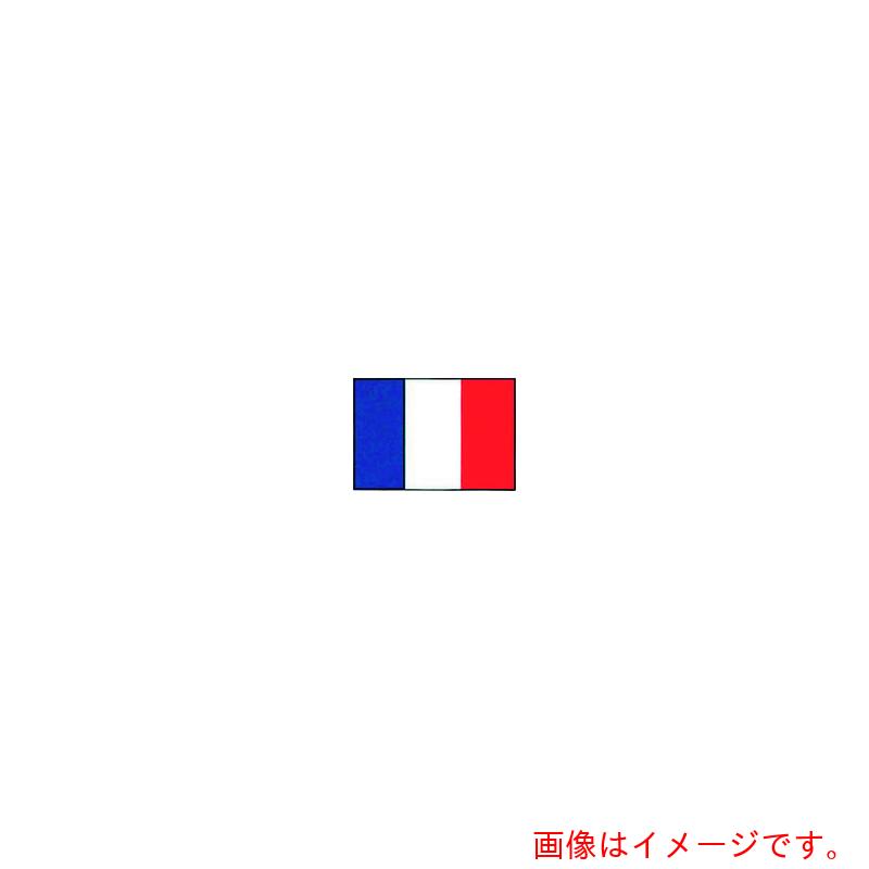 遠藤商事(TKG) 上西産業 エクスラン万国旗 70×105cm フランス 【品番:YJN7201】|住設プロ 店