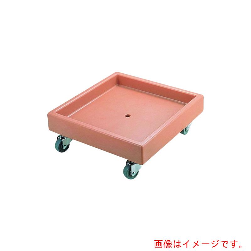 遠藤商事（TKG）　キャンブロ　グラスラックドーリー　ＣＤ２０２０　コーヒーベージュ　【品番：IGL6701】