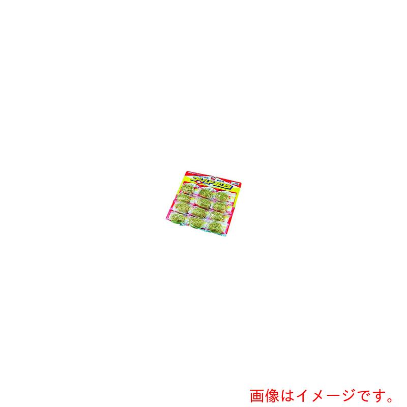 遠藤商事（TKG）　ＳＡ真鍮ゴールドタワシ（１２個台紙付）　６０ｇ　【品番：JTW05060】