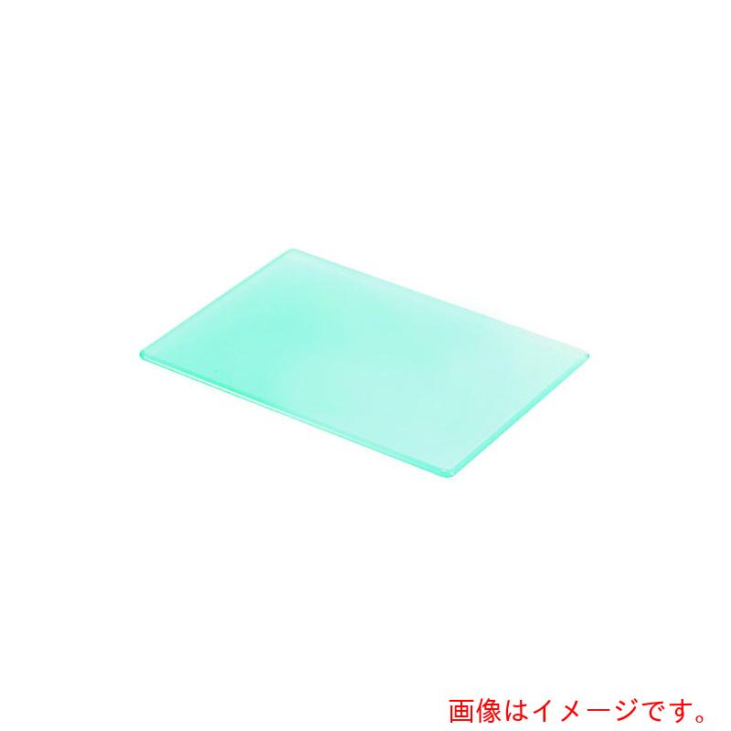 遠藤商事(TKG) アクリルブッフェトレイ長角ライトグリーン G6450 L 【品番:NBT0203】