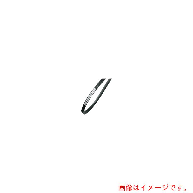 エバオン（EVER ON）　オプティベルト　ベルト　ｏｐｔｉｂｅｌｔ　ＷＥＤＧＥ　ＢＥＬＴＳ　ＳＫ　８Ｖ－３３５０　【品番：8V 3350】