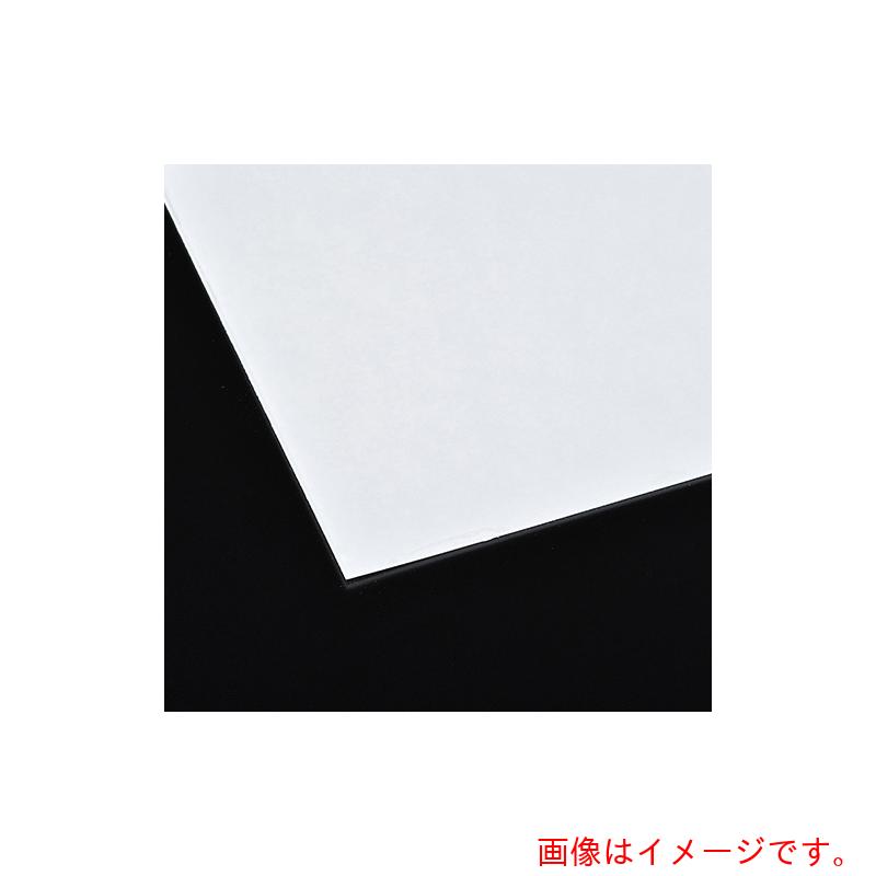 エクシール　EXSEAL　ソフトクッションシート粘着材付　５００×５００×２．０ｍｍ　透明　【品番：SS01-25006】