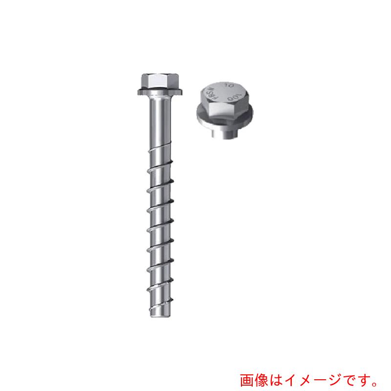 フィッシャージャパン（fischer） 混凝土螺子釘型船掛かり ＦＢＳ２ １４×９５ ３０／１０／－ 亜米利加（２０本入） 【品番：536875】