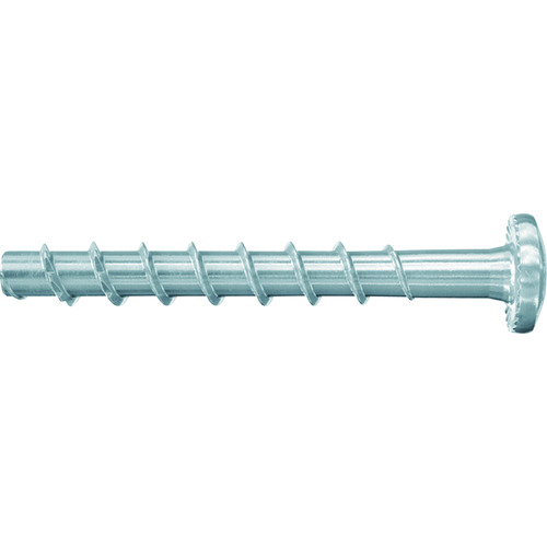 フィッシャージャパン（fischer） ＦＢＳ ２ ６×６０／５ Ｐ 【4個】 【品番：546380】