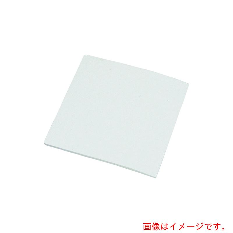 フロンケミカル　フッ素樹脂（ＰＴＦＥ）フィルターシート　１０ｔ×３００×３００　【品番：NR1132-004】