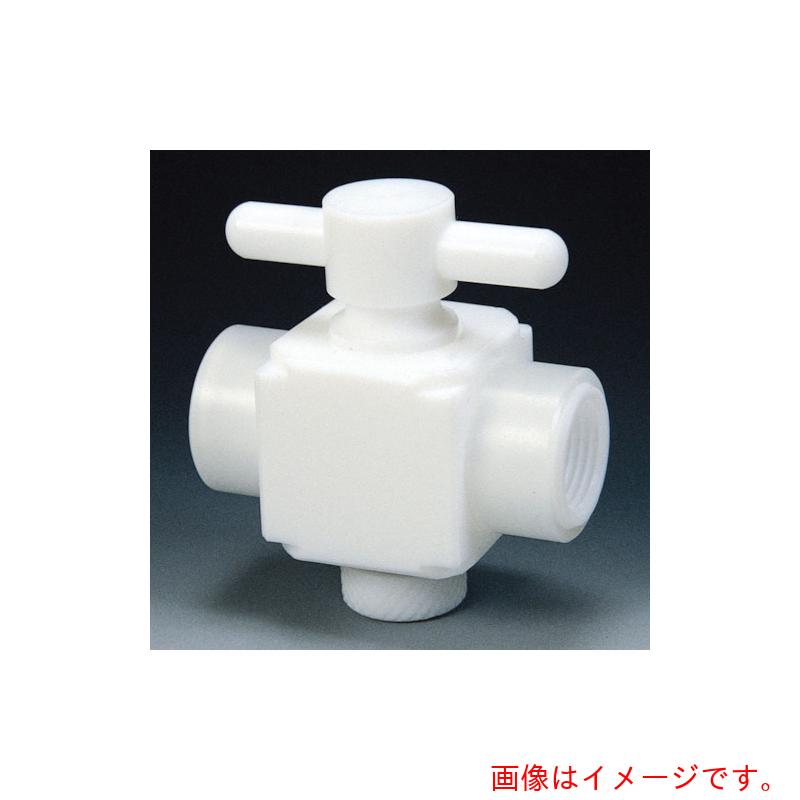 フロンケミカル　フッ素樹脂（ＰＴＦＥ）二方バルブ両メスタイプ　ＲＣ１／４　【品番：NR1304-001】