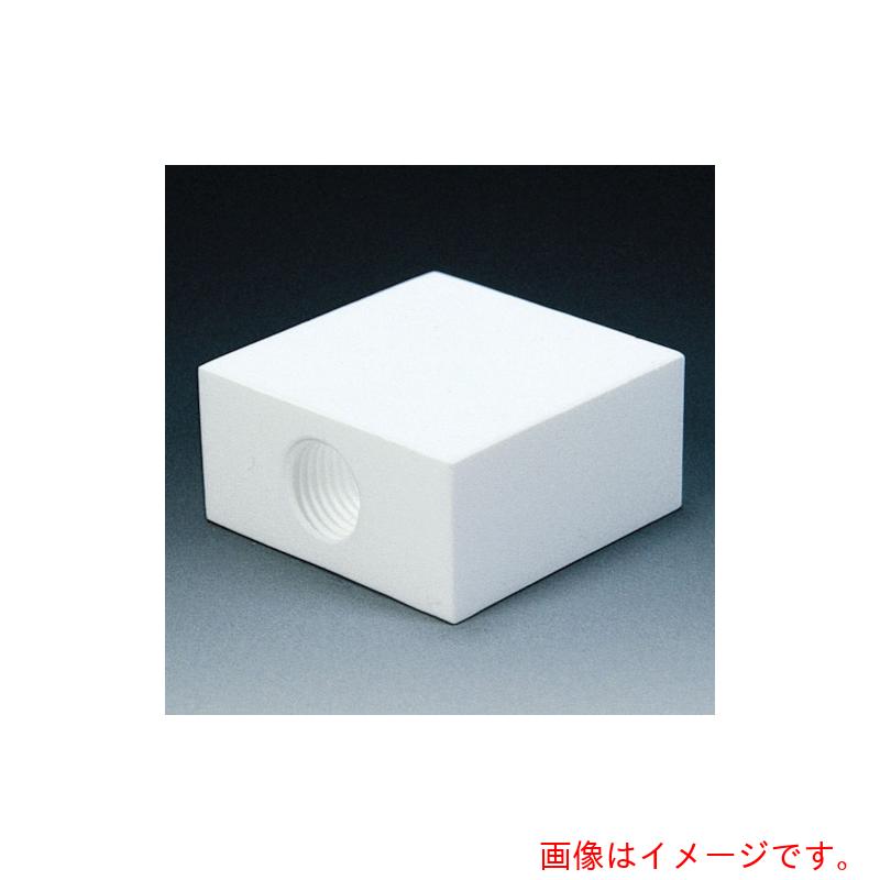 フロンケミカル　フッ素樹脂（ＰＴＦＥ）フィルターメネジ角タイプ　ＲＣ１／４　【品番：NR1310-002】