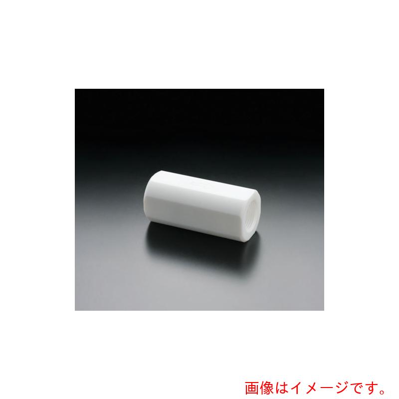 フロンケミカル　フッ素樹脂（ＰＴＦＥ）チェックバルブ　ＲＰ１／２平行メネジ　【品番：NR1666-003】