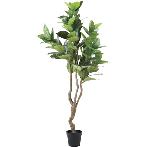 藤沢加工 リレヤ 似たり緑であること 観葉草木（人工草木） ＷＤ－０６ 【品番：WD-06】