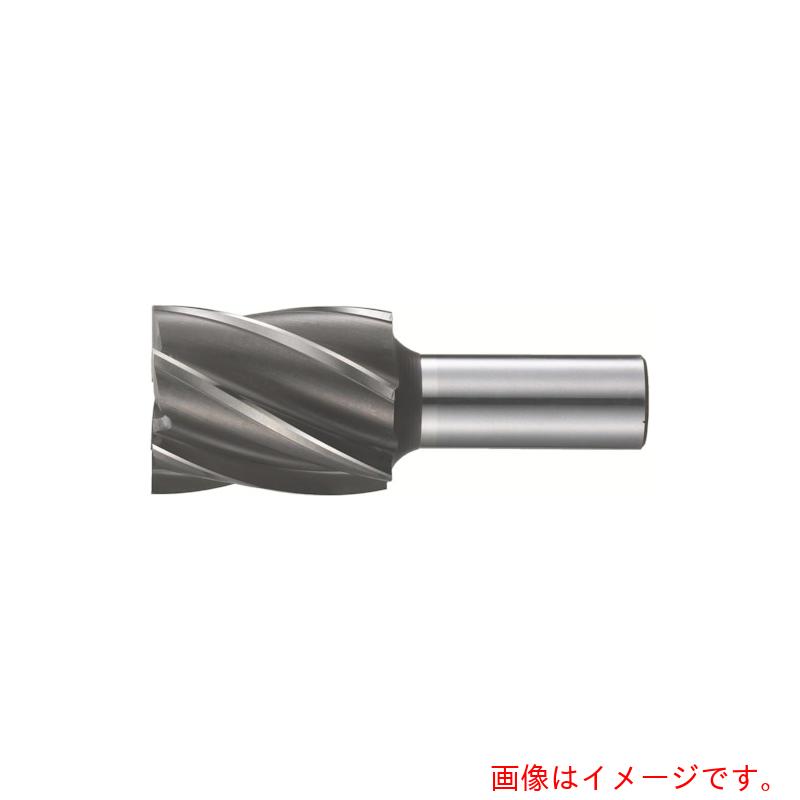 【別途送料あり】フクダ精工（F.K.D.）　３Ｓエンドミル６枚刃（標準刃）１００×３２　【品番：6SF-100X32】
