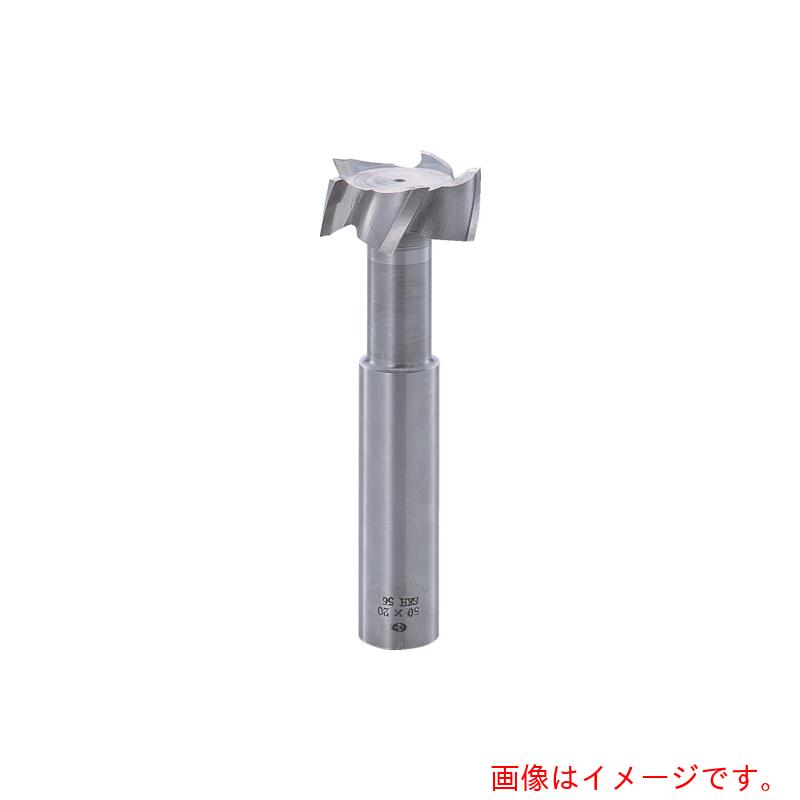 フクダ精工（F.K.D.）　Ｔスロットエンドミル５０×１５　【品番：TSE50X15】