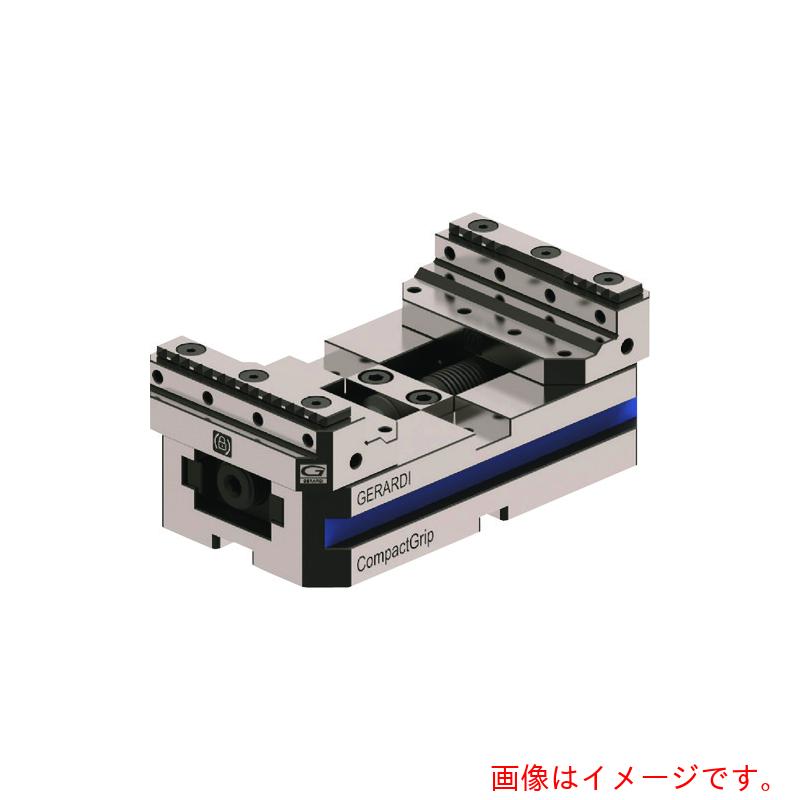 GERARDI　コンパクトＧバイス６５０　Ｔ２　８８ＷＸ２００ｍｍ　【品番：GR650T2X200】