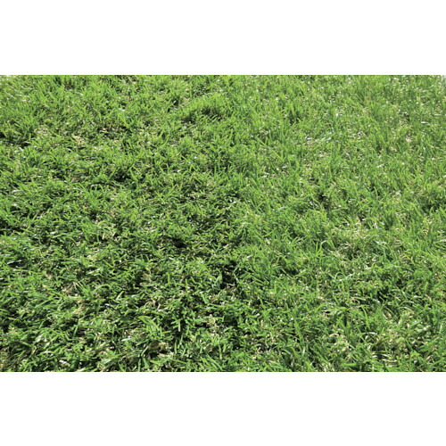 【別途貨物輸送あり】グリーンクロス バロン人工芝 ２００ｃｍ×１０ｍ 【品番：6300027848】 日用品雑貨・文房具・手芸-掃除用品