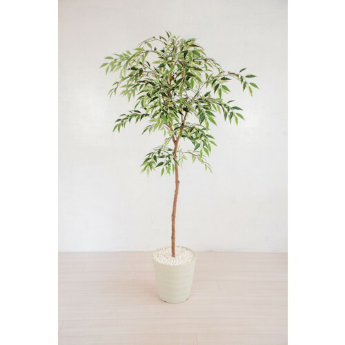 【別途貨物輸送あり】グリーンクロス 人工あずま屋／人工観葉草木 シラカシ 【品番：6300028764】