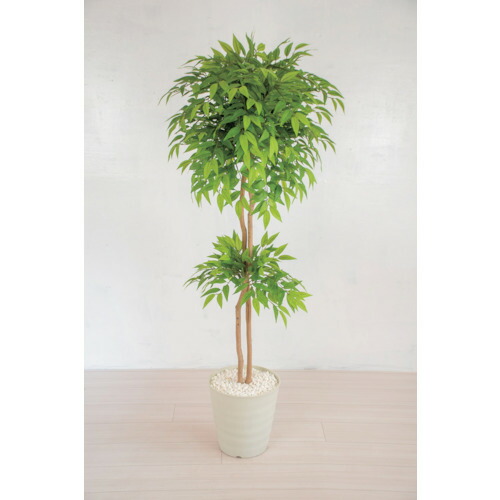 【別途送料あり】グリーンクロス 人工樹木/人工観葉植物 フランスベンジャミン 150cm 【品番:6300028768】|住設プロ 店