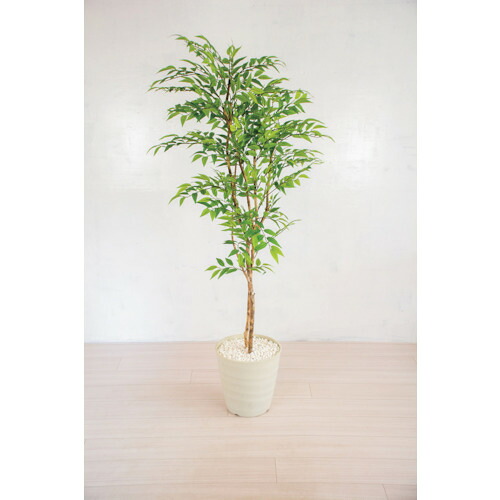 【別途貨物輸送あり】グリーンクロス 人工あずま屋／人工観葉草木 フランスベンジャミン １６０ｃｍ 【品番：6300028769】