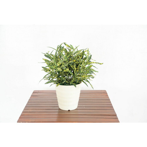 グリーンクロス 人工あずま屋／人工観葉草木 ホソバクロトン 【品番：6300028778】 植木鉢・プランター-花・ガーデン・DIY