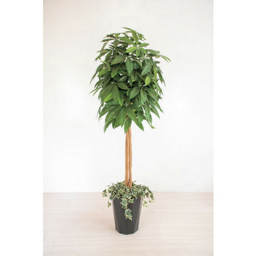 【別途貨物輸送あり】グリーンクロス 人工あずま屋／人工観葉草木 パキラ 【品番：6300028782】