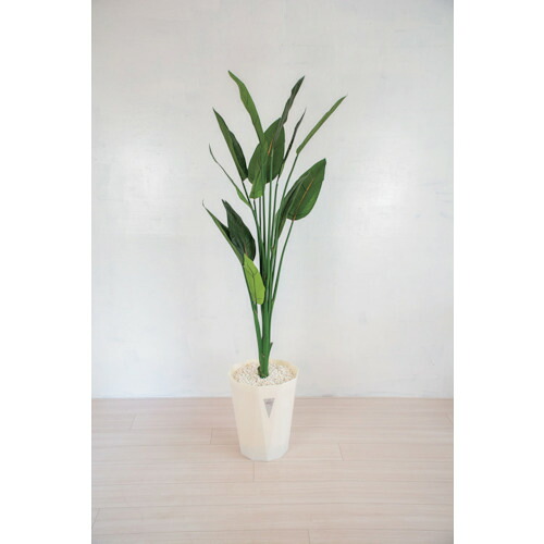 【別途貨物輸送あり】グリーンクロス 人工あずま屋／人工観葉草木 ストレチア 【品番：6300028786】