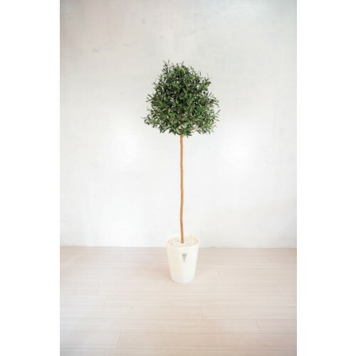 【別途貨物輸送あり】グリーンクロス 人工あずま屋／人工観葉草木 オリーブ １８０ｃｍ 【品番：6300028787】
