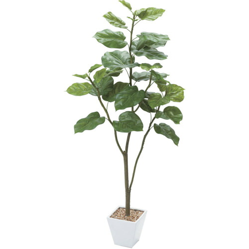 【別途貨物輸送あり】グリーンクロス ウンベラータ 全長１２０ｃｍ 【品番：6300029179】