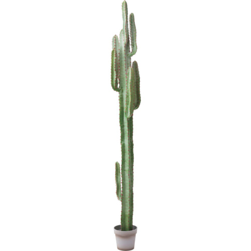 【別途送料あり】グリーンクロス　ハシラサボテンＳ　Ｈ２００ｃｍ　【品番：6300029224】