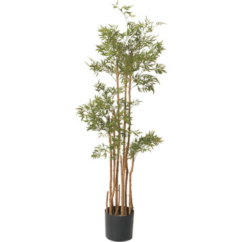 【別途送料あり】グリーンクロス　ポリシャスツリーＭ　全長１６０ｃｍ　【品番：6300029231】 23,512円
