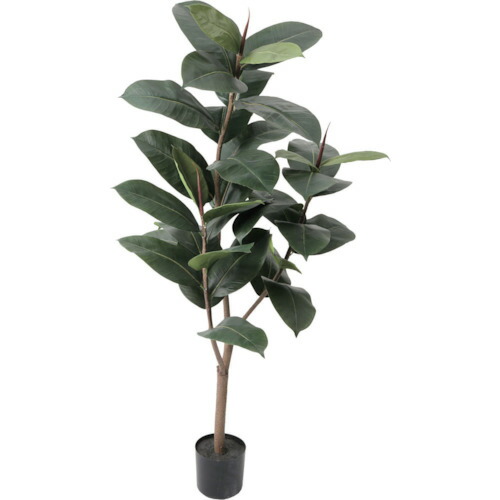 【別途貨物輸送あり】グリーンクロス デコラ予防医学 全長１２５ｃｍ 【品番：6300029248】