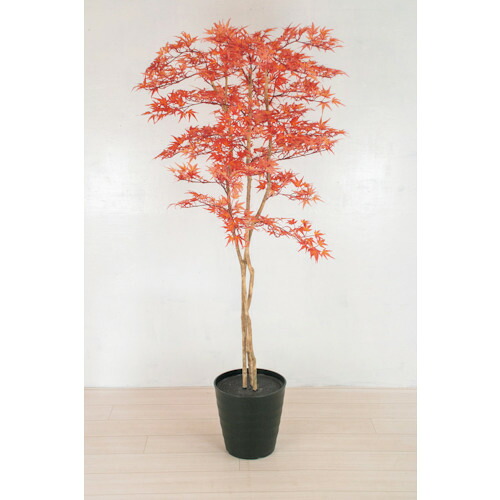 【別途送料あり】グリーンクロス　人工樹木／人工観葉植物　モミジ　小　【品番：6300033750】 42,450円