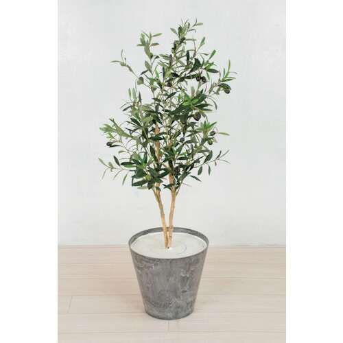 【別途送料あり】グリーンクロス　人工樹木／人工観葉植物　オリーブ　【品番：6300033751】｜住設プロ　店