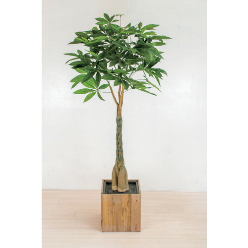 【別途貨物輸送あり】グリーンクロス 人工あずま屋／人工観葉草木 パキラ 【品番：6300033755】