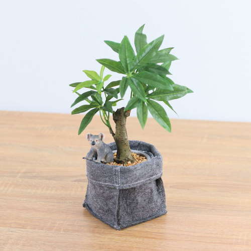 グリーンクロス　コーヒーノキフェルトポットコアラ　全長２９ｃｍ　【品番：6300036511】