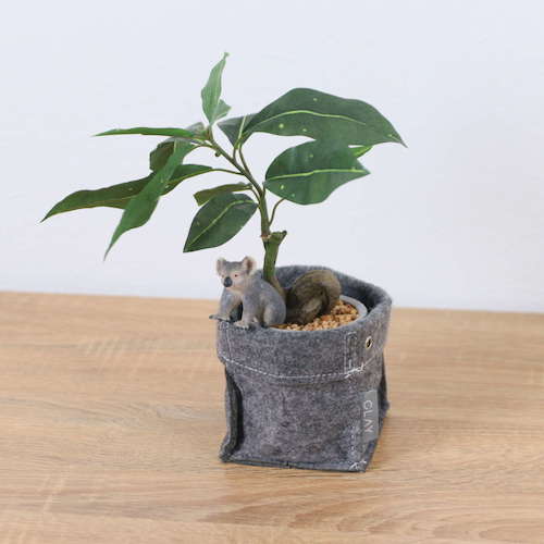 グリーンクロス　パキラフェルトポットコアラ　全長３２ｃｍ　【品番：6300036517】
