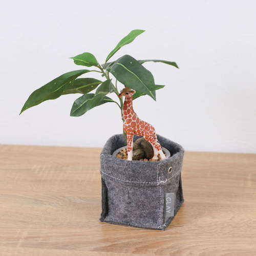 グリーンクロス　パキラフェルトポットキリン　全長３２ｃｍ　【品番：6300036518】