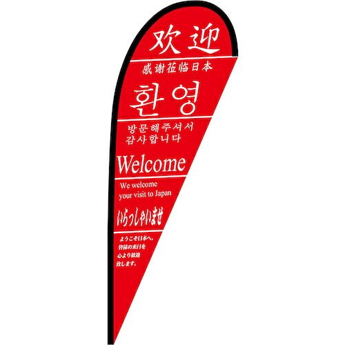 グリーンクロス 旗国 Ｐ旗幟中 いらっしゃい ３ヶ国版 Ｎｏ．２４０３８ Ｗ１０００×Ｈ２８００ 【品番：6300048699】