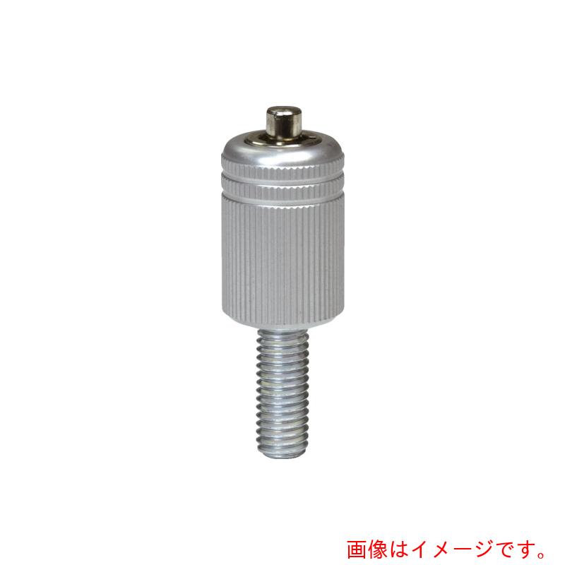 【別途送料あり】ガードロック（GUARD）　外せんボルト　Ｍ８－６０－１６５３４　【品番：NO.750-16-M8-60-16534】