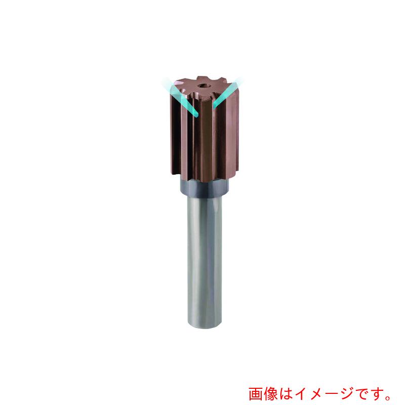 グーリングジャパン（GUHRING）　高速加工用リーマ　レギュラｎａｎｏＡコート　２５ｍｍ　【品番：1549 25.000】
