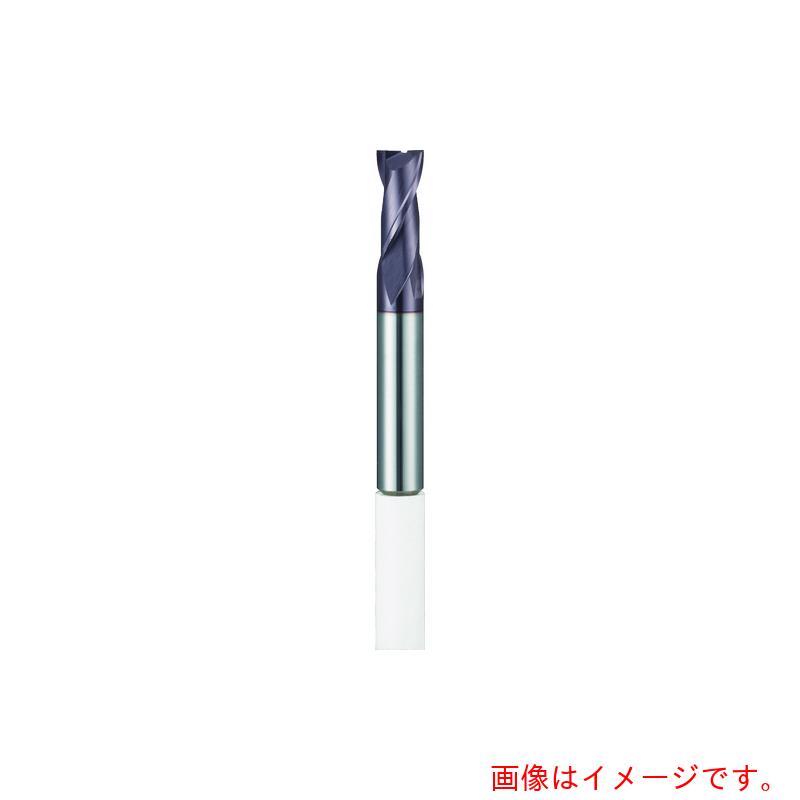 グーリングジャパン（GUHRING） 超硬スクエアエンドミル ＥＣＯ挙げ句の果て圧砕機２枚刃 １６粍 【品番：19962 16.000】