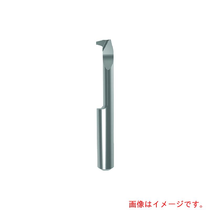 グーリングジャパン（GUHRING） 溝入れ工具 インサート 内径ねじ切り さらい刃なし － 台形ねじ ＧＧ１０６．ＴＴ１０．２００．３２．８０．Ｌ 【品番：25831 6.004】
