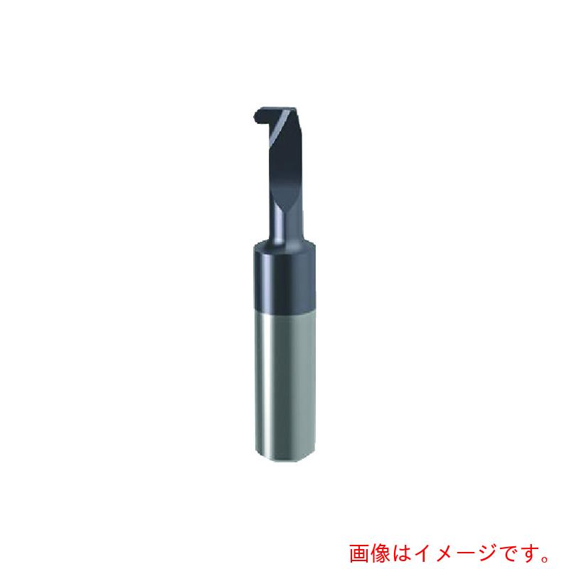 グーリングジャパン（GUHRING） 溝入れ手道具 挟みいれる 口径盛りだくさんＲ溝入れ製作用 ｎａｎｏＡ厚地の外套 ＧＥ１０６．０２００．１００．４２．５０．Ｌ 【品番：25883 6.270】