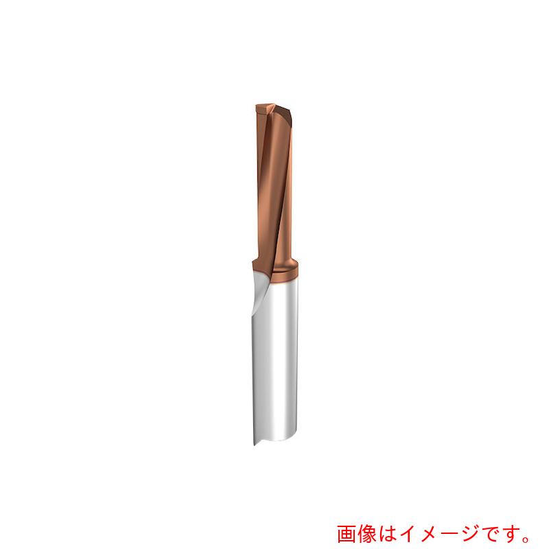 グーリングジャパン（GUHRING）　穴あけ＆ボーリング加工用インサート　ＱＧ１０６．０５４８．０２０．２１．５０．Ｒ　【品番：26906 6.004】