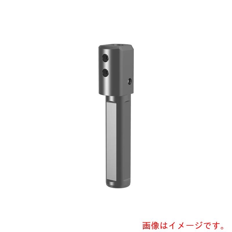 グーリングジャパン（GUHRING）　丸シャンクホルダ上部クランプねじ　４面平取り付き　システム１０８　ＧＢ１０８．００１６．０９０．００．２２．Ｎ．ＩＫ．Ｚ　【品番：27018 8.001】