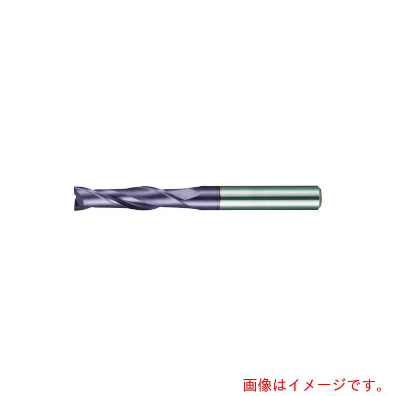 グーリングジャパン（GUHRING） ２枚刃挙げ句の果て圧砕機 ロングＦＩＲＥ厚地の外套 ６粍 【品番：3021 6.000】