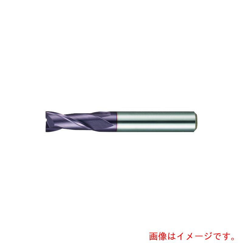 グーリングジャパン（GUHRING） ２枚刃挙げ句の果て圧砕機 レギュラＦＩＲＥ厚地の外套 ８．７粍 【品番：3635 8.700】