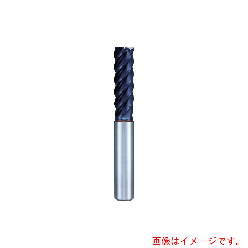 グーリングジャパン（GUHRING） ５枚刃挙げ句の果て圧砕機 ロングＦＩＲＥ厚地の外套 ４粍 【品番：3897 4.000】 DIY・工具-花・ガーデン・DIY-切削・研削工具用アクセサリー
