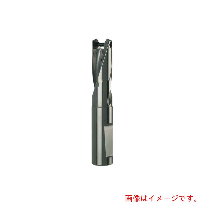 グーリングジャパン（GUHRING）　ドリルホルダ　１．５ＸＤ用　３６．００～３６．９９ｍｍ　【品番：4106 36.000】