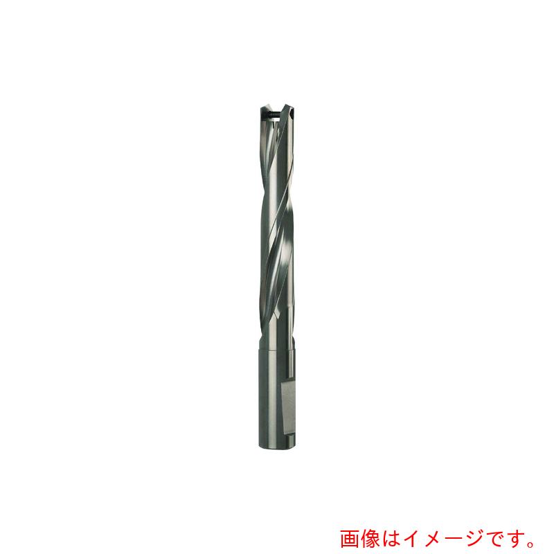 グーリングジャパン（GUHRING）　ドリルホルダ　５ＸＤ用　１２．５０～１２．９９ｍｍ　【品番：4108 12.500】