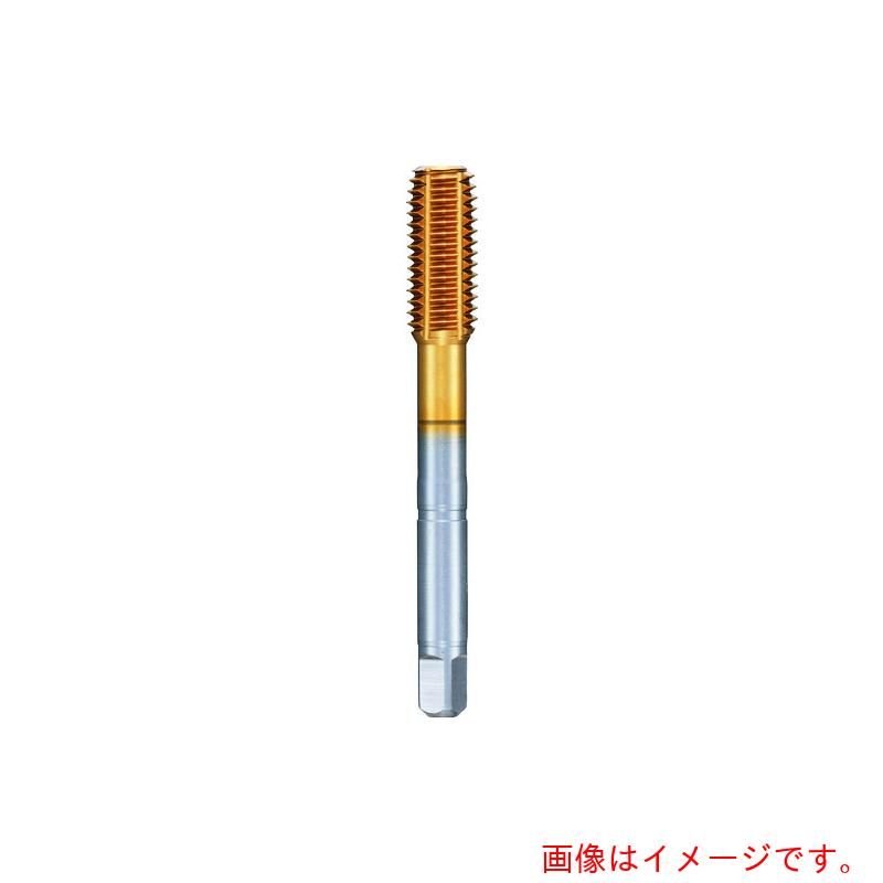 グーリングジャパン（GUHRING） 米突所せまいねじ用水道栓 レギュラＴｉＮ厚地の外套 Ｍ１６×１．５ 【品番：4445 16.007】