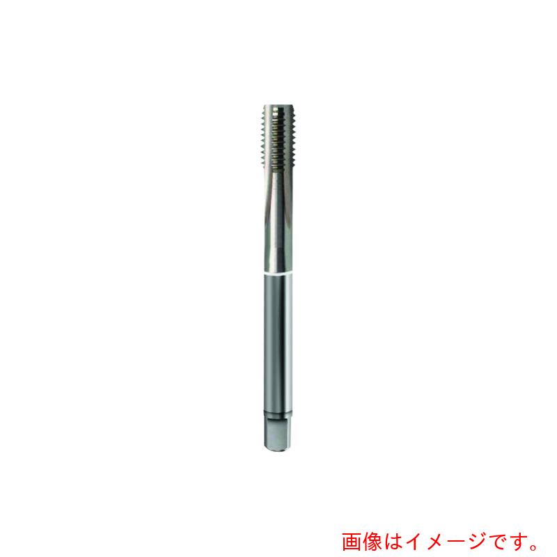 グーリングジャパン（GUHRING） 鋳鉄、軽銀用米突所せまいねじ用水道栓 レギュラ Ｍ２０×１．５ 【品番：4451 20.007】