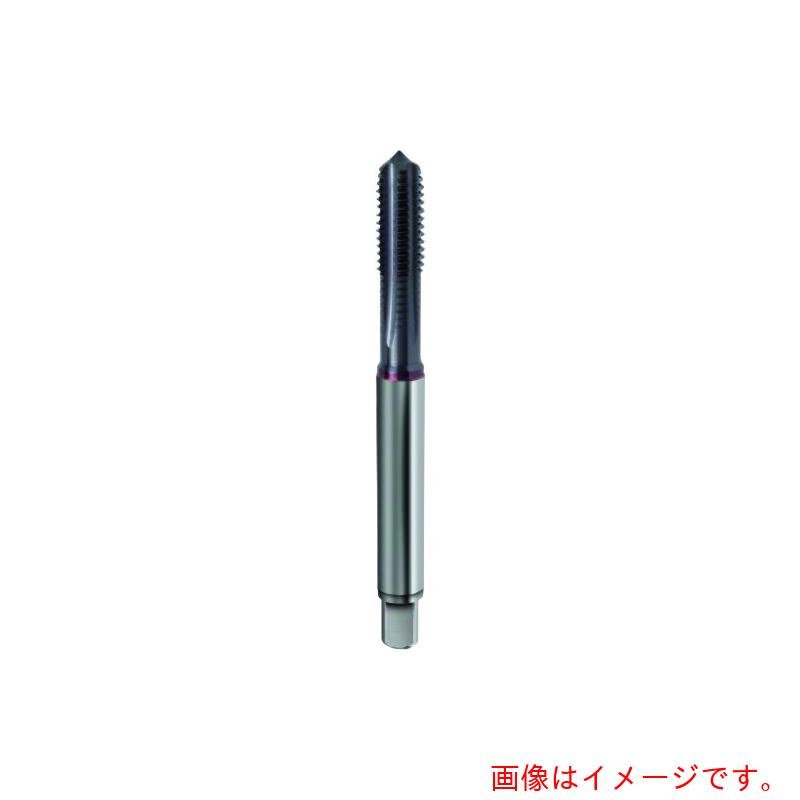 グーリングジャパン（GUHRING） 高硬度鋼用米突所せまいねじ用水道栓 レギュラＴｉＣＮ厚地の外套 Ｍ１２×１．２５ 【品番：4459 12.006】
